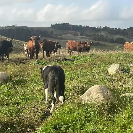 Lodge Hill Farm Roeldogbakken Frederikshavn